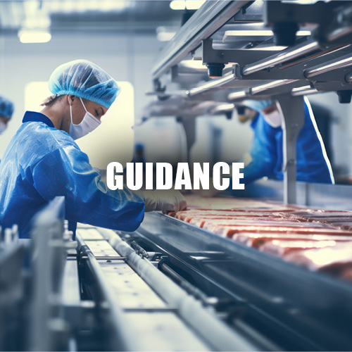 Animal Welfare Audit