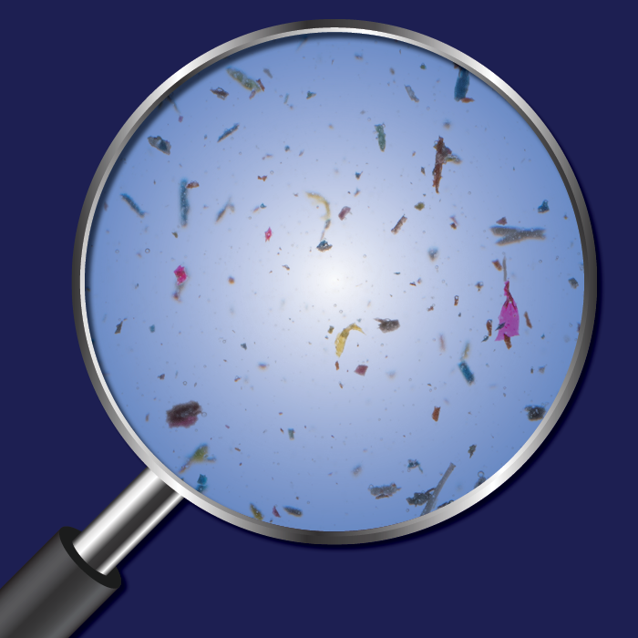 Prevention First: Advancing Your Foreign Material Control Program