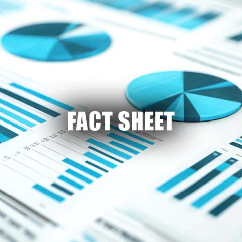 Beef & Cattle Market Update